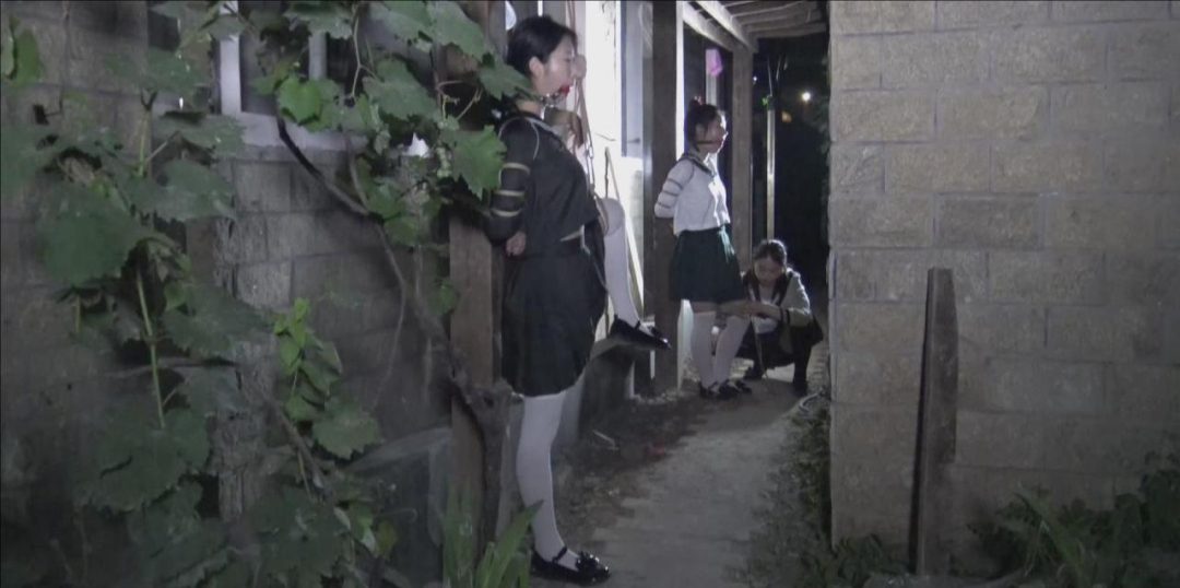 《夜晚葡萄棚下调教三女M》 女王夜晚在葡萄棚下捆绑调教三女M,三女M被捆绑在木柱上面-2