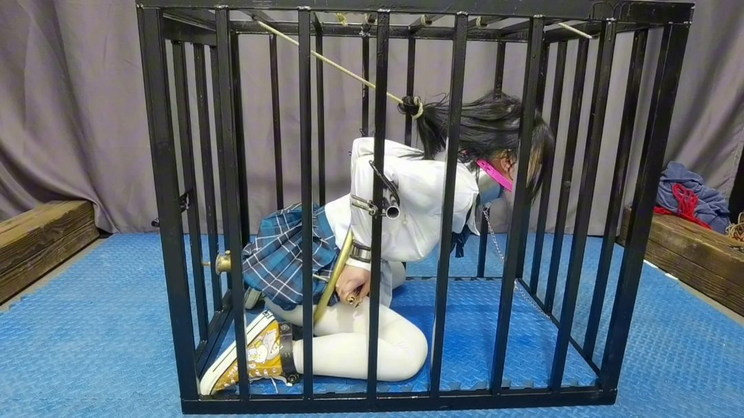 把月仙儿禁锢在特制的狗笼里,经过六道程续G栓在牢牢地紧固上去,最终经不住折磨骚水狂喷......-8