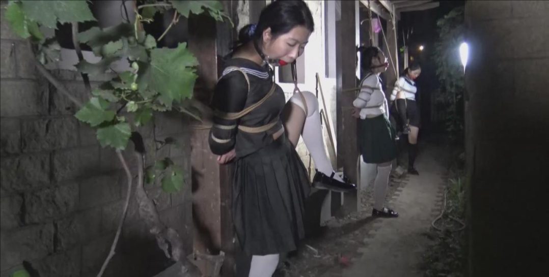 《夜晚葡萄棚下调教三女M》 女王夜晚在葡萄棚下捆绑调教三女M,三女M被捆绑在木柱上面-7