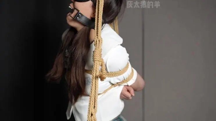 双马尾少女与口枷+绳子的不解之缘-8