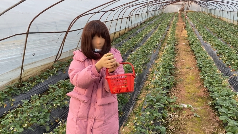 继爱姬老前辈后。咱们也穿着zentai全包去草莓采摘园了~走另类的路线，展示个人的风采，不为别人的言论和目光所活-3