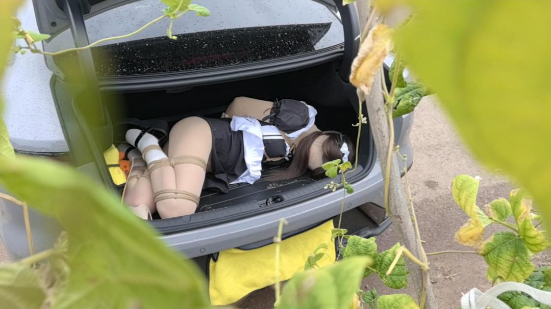 奇妙的旅途 路上车来车往 旁边路过的车会不会看到后排被绑上的女仆 欧式直臂 并腿 驷马 野外露出-7