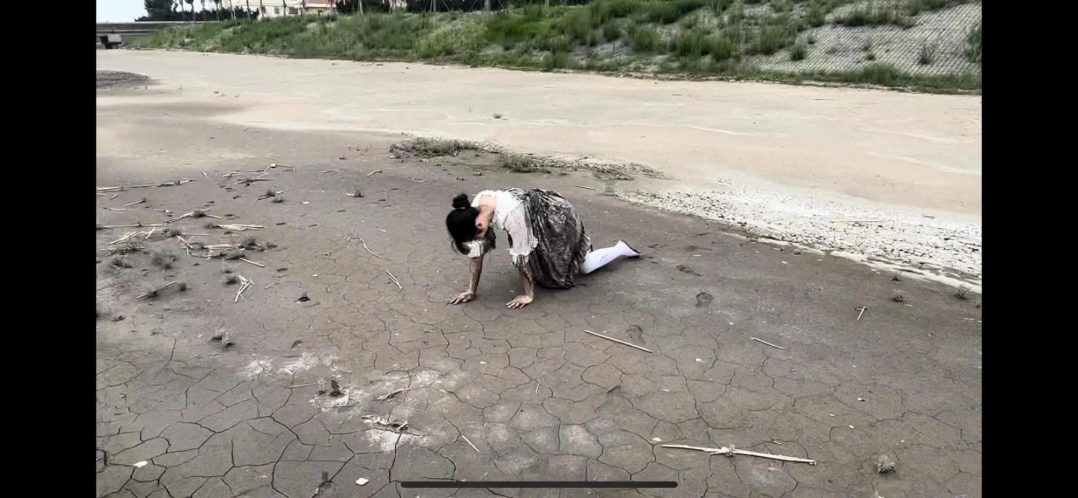 甜lo白丝臭水沟打滚调教 无惧路人-7