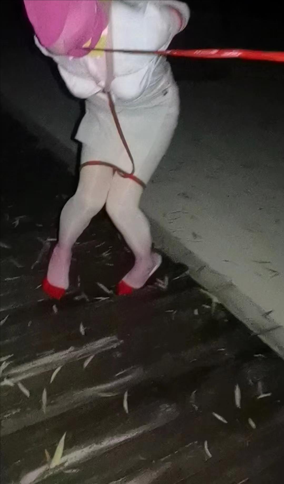 路边公园，人行道遛弯-4