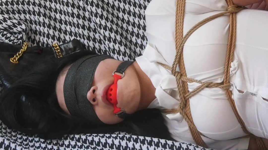 女白领的灾难》 上集 女白领下班回到家没有锁门被尾随跟踪来的女劫匪入室捆绑-10