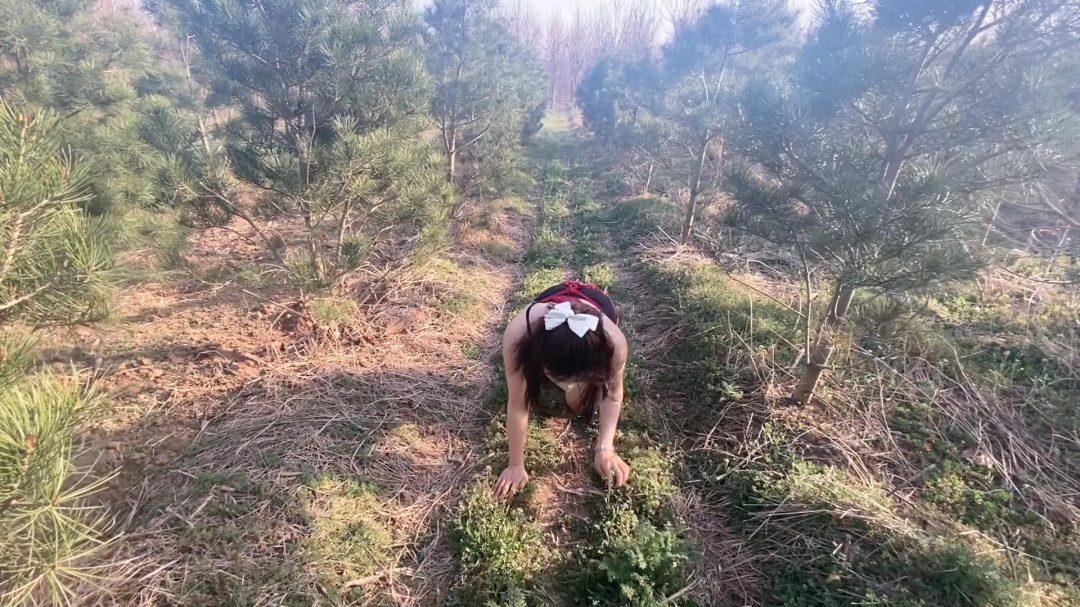身材很好的欢欢来工作室体验，期间不断挑逗男主，带到户外玩弄，羞辱不断，逛小公园，爬行，逛夜市买饭吗，被路人看到，最后露出跑回车上，男主才放过欢欢-4