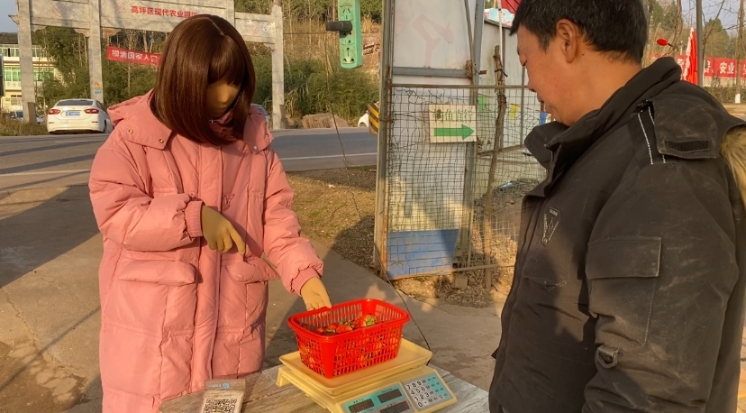继爱姬老前辈后。咱们也穿着zentai全包去草莓采摘园了~走另类的路线，展示个人的风采，不为别人的言论和目光所活-8