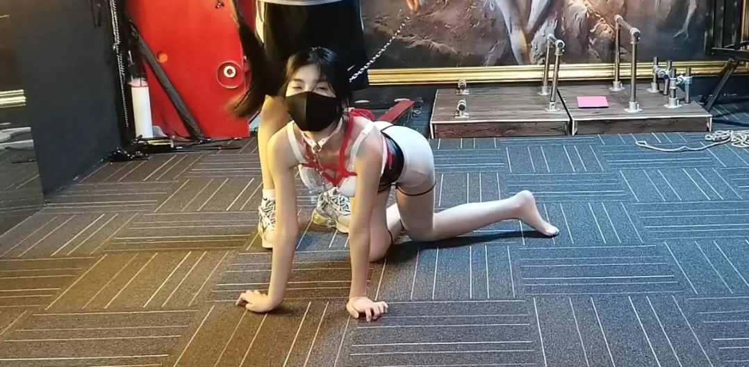 小爱慕汤圆 遛狗木马惩罚-2