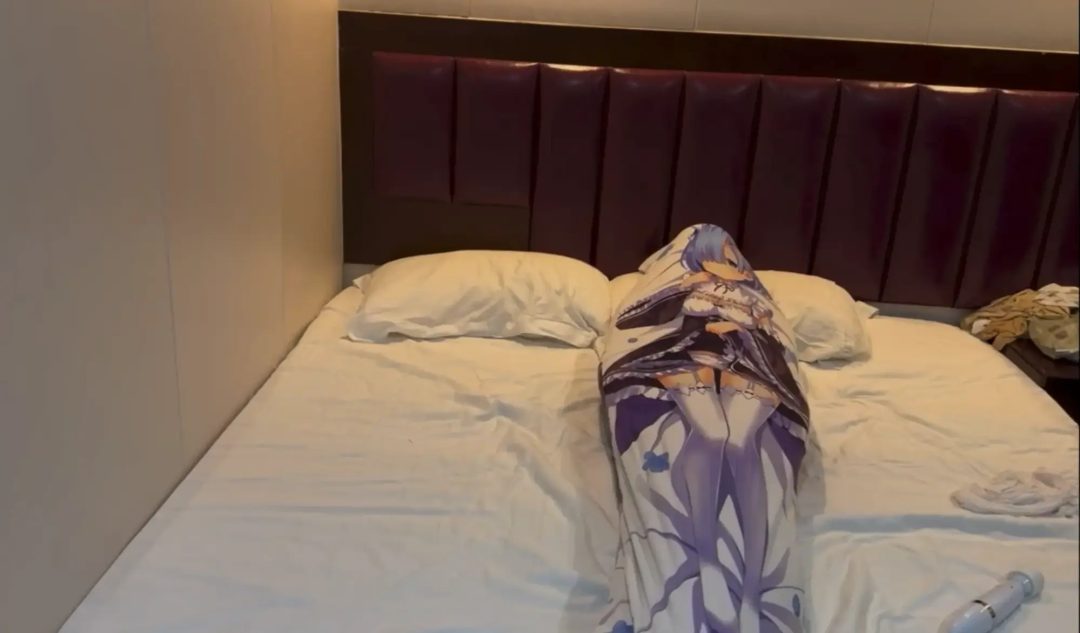 蕾姆的自我抱枕-白丝全包和抱枕套-6