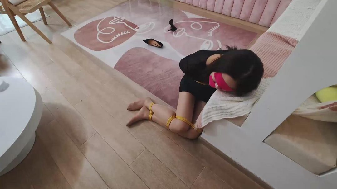 红鲤鱼作品《第一人称注孤生系列01：手机和女友》，震惊！美丽女子让男友把自己绑起来并蒙眼封嘴，好玩一些刺激的游戏，可谁知道男友居然干出来这种事...-18