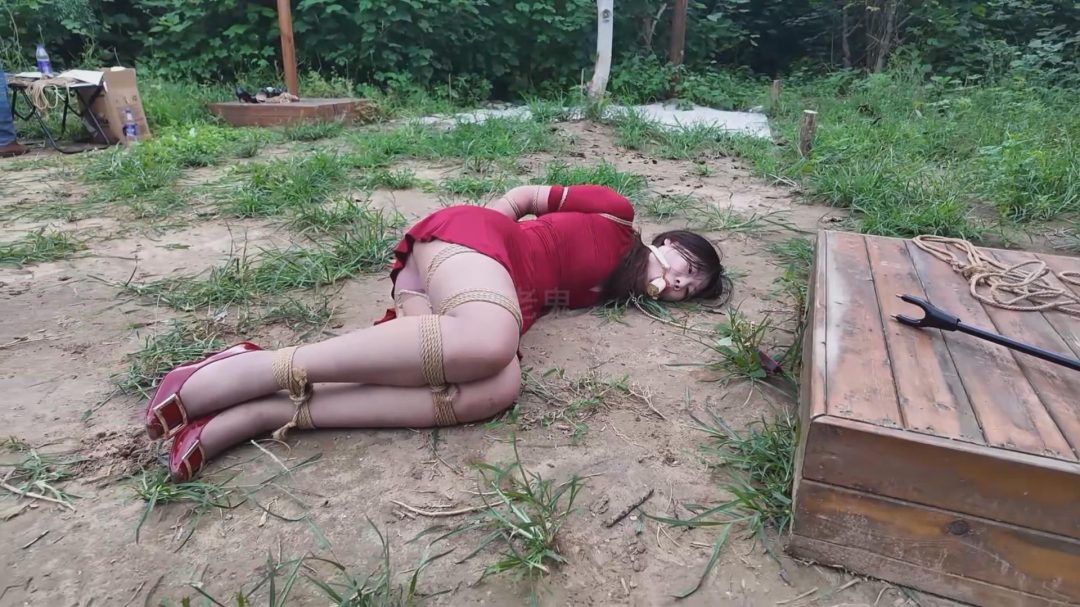 《夏可野外闷热炼狱上》【咖丝高跟/野外/湿身脏身/空姐重口原味丝袜堵嘴/驷马吊】-2