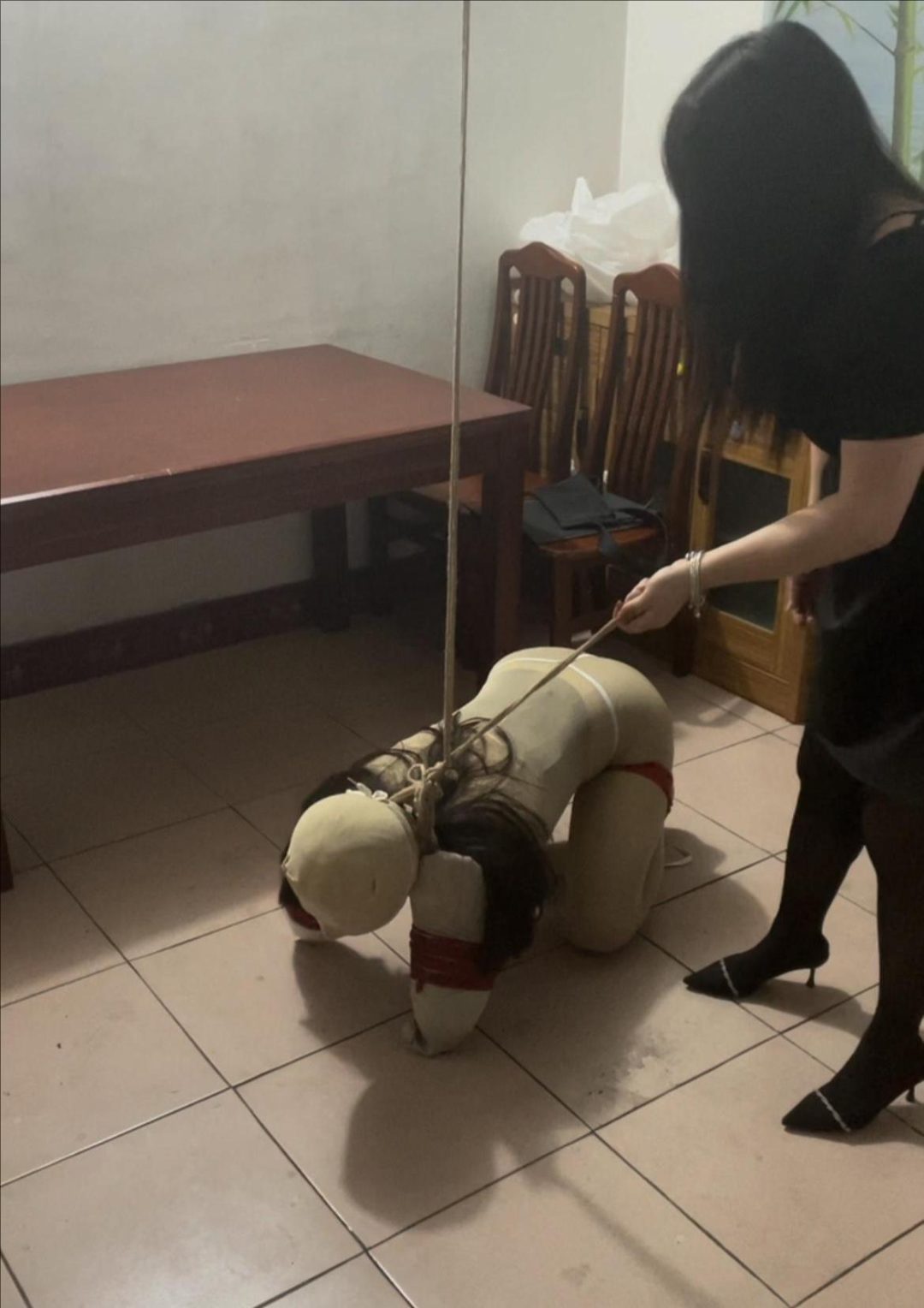 人型犬发泄-4