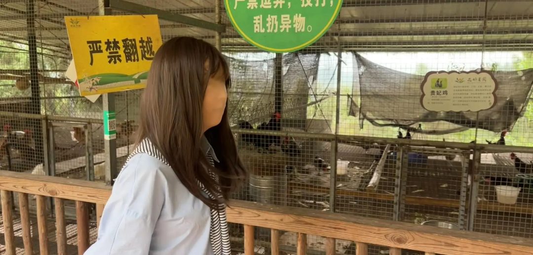 逛动物园因为视线模糊被狮子吓一跳，逗得旁边大姐哈哈大笑，还全包去商店买了汽水-1