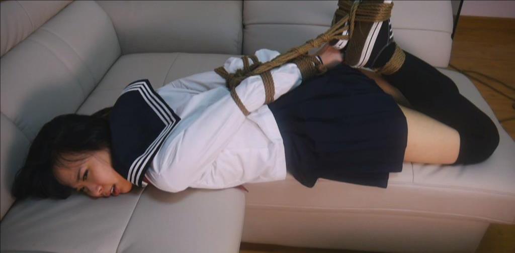 女怪盗系列-9
