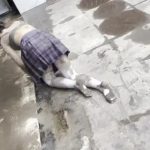 电竞少女白丝Jk公厕污水地面打滚 踩便便 半裸打滚爬行 全程高能