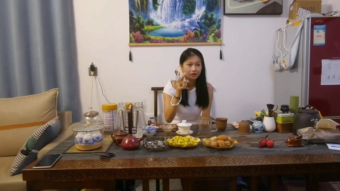 定拍转公映《女大学生被囚禁》 上集 女大学生去面试保姆没有想到这家雇主是个女变态-1