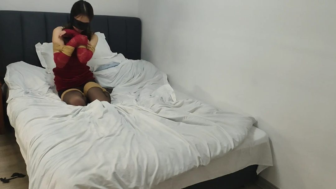 小鑫犬缚K9爬行-8