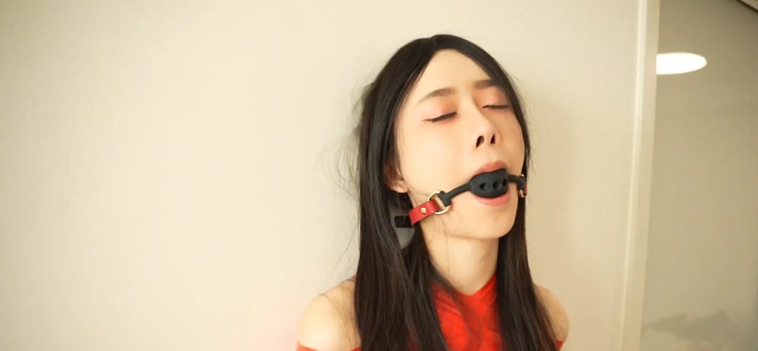 哈莉奎因工作室 -胶带束缚+口球乳贴+私密贴-6