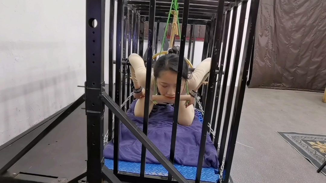 铁笼 禁锢 被紧紧禁锢起来-6