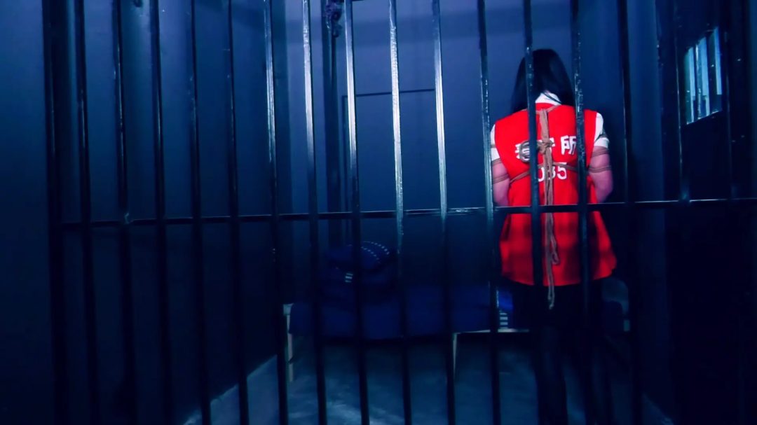 《落网》 上集 王丽娜被抓获交代藏匿地点，带她指认现场-7
