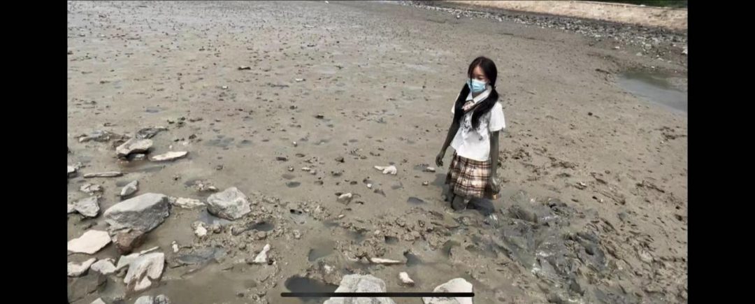 山吹白丝滩涂玩泥 强烈反差-8