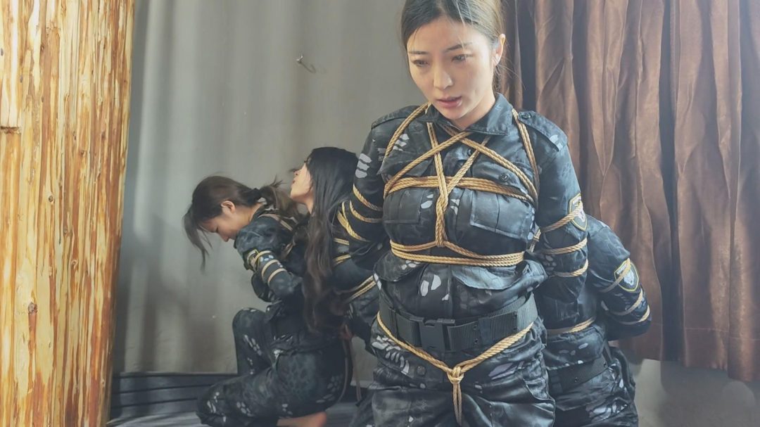 李大侠定制：《特战行动》上-14