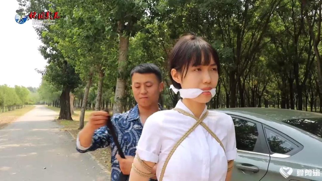 怀旧影苑 独闯龙潭（第一集）-5
