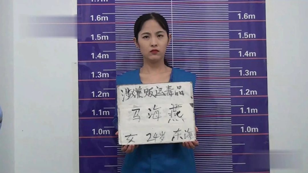 雅俗阁 法网恢恢2024（思安·洋洋）-4