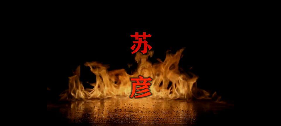 怀旧苏彦-2