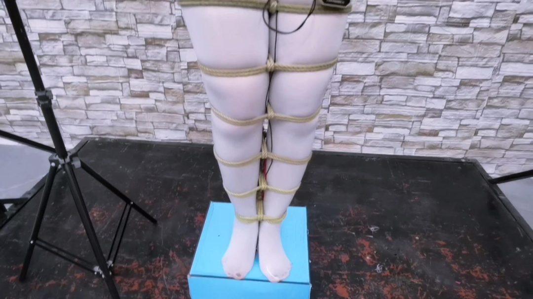 将女骗子绳捆索绑直立吊起来,脚底按了个脚踏开关,头顶按了个360激活开关串联于郊狼电击,上下自动电击,到最后竞将女骗子折磨成了植物人,....-1