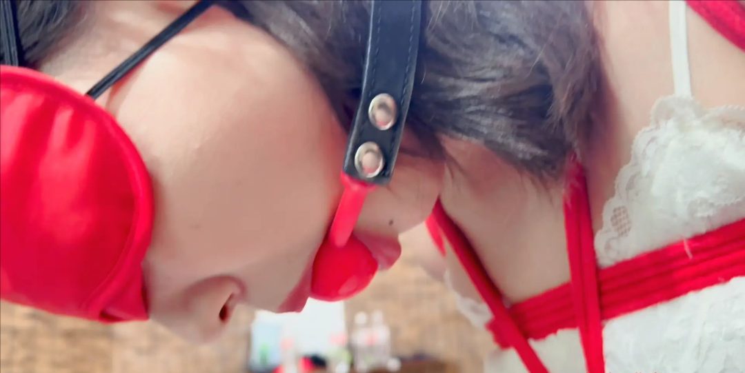 如何培养奴 1-8 如何培养奴 1-8