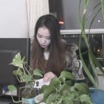 逍遥工作室经典回放 老片重温李雨桐