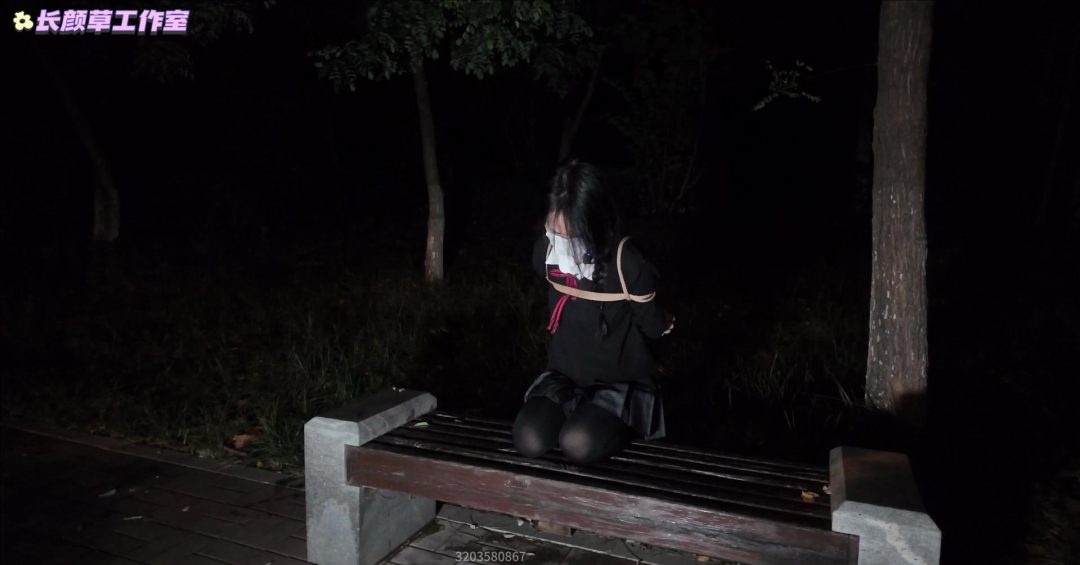 少萝霜喵 捆绑路边震动调教 第二弹 悦耳萝莉音耳边姣川 对话声音都颤抖了 路边坐着的那个小妹妹裙底怎么有亮光？ 专业麦克风嘴边采音戴耳机犹如妹子在身边-3