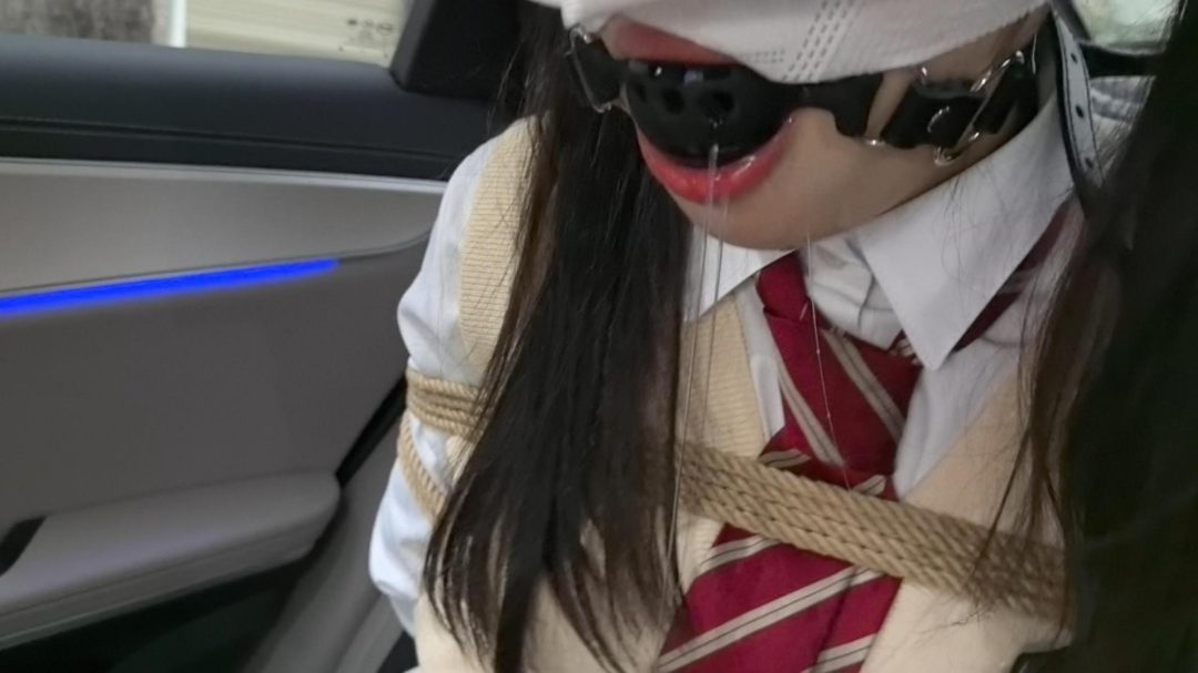 【麻衣学姐历险记】 学姐是个对粉丝有应必求的主播 专门拍摄一些比较吸引眼球的挑战视频 其实更多是变着法儿从这些男人身上赚钱-6
