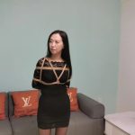 文清劫难（传奇模特订拍系列）