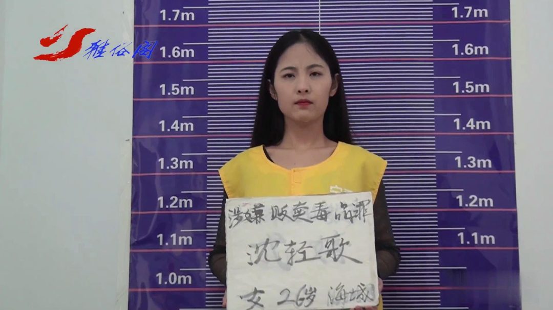 绝不姑息 2024版-1