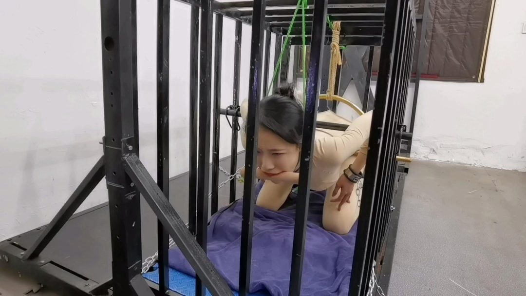 铁笼 禁锢 被紧紧禁锢起来-5
