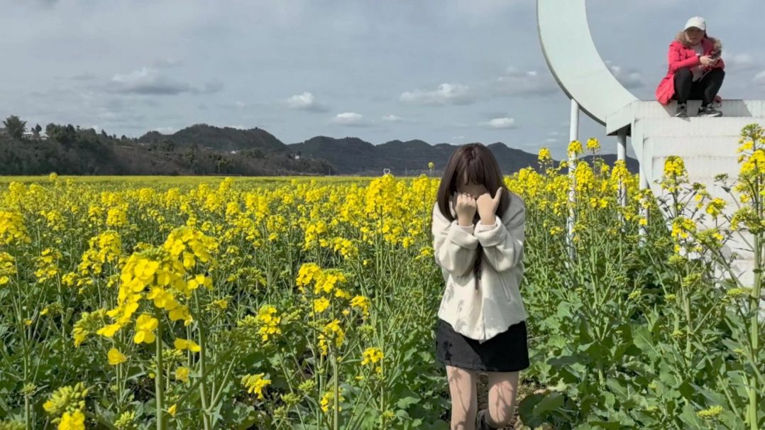 春暖花开之际 油菜花如约而至 它跟你一样 善解人意 我喜欢风 它跟你一样-4