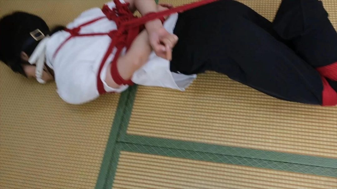 驷马缚挠痒训练-5 驷马缚挠痒训练-5