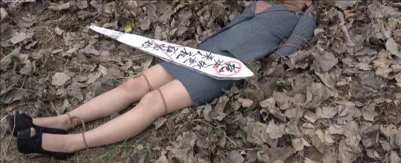 MJ影视 无知与贪婪的结局-7