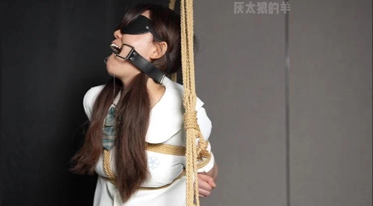 双马尾少女与口枷+绳子的不解之缘-4