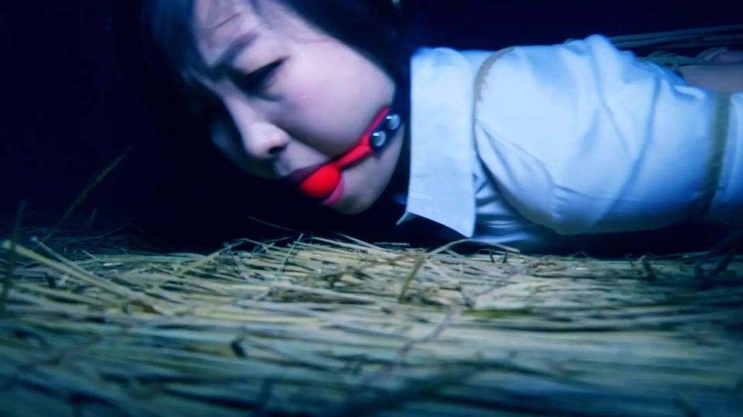 定拍转公映《双花卧底 》 第一集 美女秘书被全天候捆绑锁着工作-3