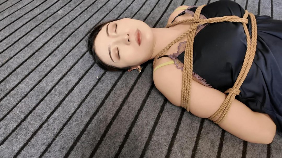女总裁三-5