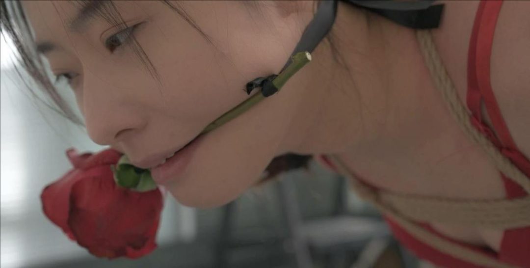 玫瑰花口枷悬吊-5