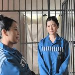 大学里的故事上（定拍转公映 实力派初夏强势回归）