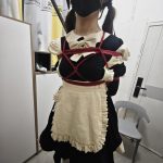 【追风的游戏】调教小女仆