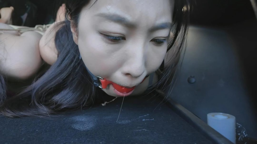 李大侠定制《野外车劫2》第四集 完结篇-8