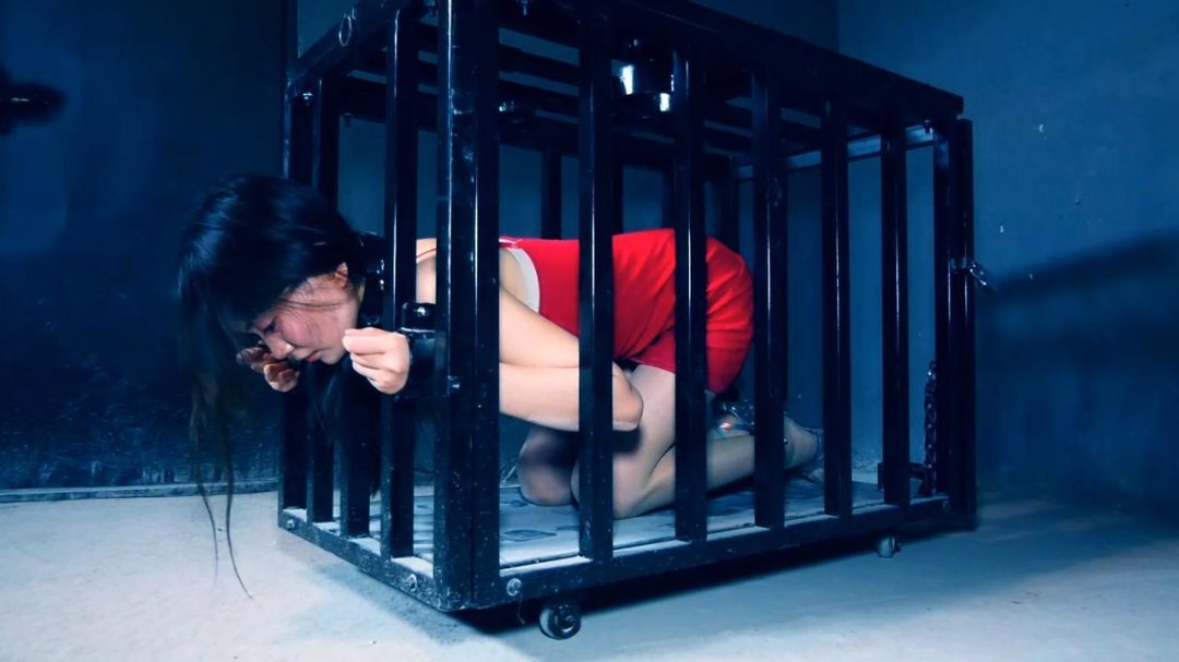 定拍转公映《秘密押送》第三集 两个女 被押赴刑场执行枪决由于出现重大发现一名女 被叫停执行押回监牢重新审讯-11