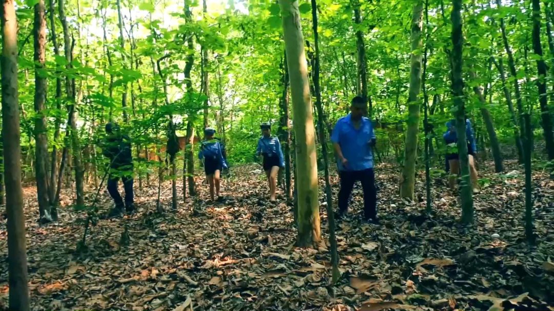 定拍转公映《毒蝎林潇琦末日》第四集 林潇琦在看押期间偷偷用发卡打开镣铐和同伙打晕看守逃出看守所最后在野外再次被捕-4