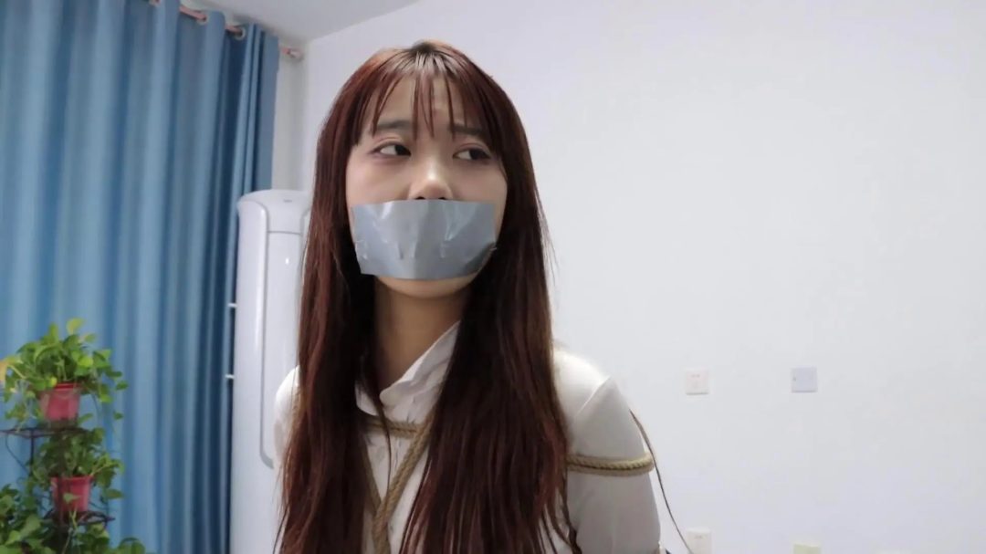 DID情节片 山无二虎②-3